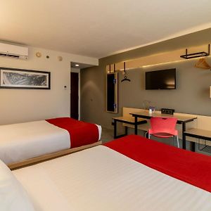 Double Room Two Double Beds